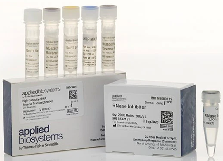 applied-biosystems-high-capacity-rna-to-cdna-cdna-reverse